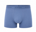 Boxer Basic